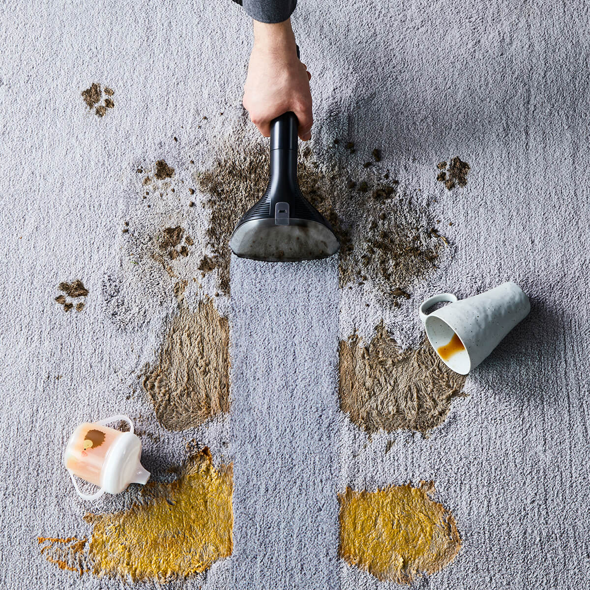 Shampouineuse/détacheuse ROWENTA - Efficace contre les accidents du quotidien